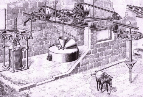 Fábricas y Molinos de Aceite de Oliva en Castellar - Primera mitad siglo XX, por Antonio Robledo Morales