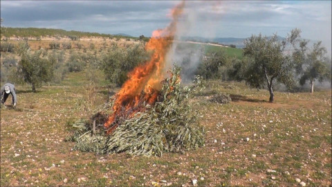 Procedimiento de autorización de quemas de restos agrícolas en zona de influencia forestal (artículos17 y 18 Decreto 247/2001, de 13 de noviembre)