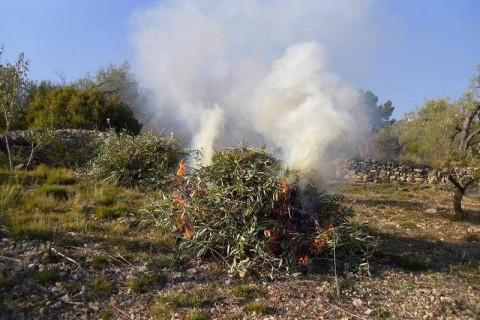Se autorizan las quemas en zonas con al menos 400 metros de distancia de zona forestal