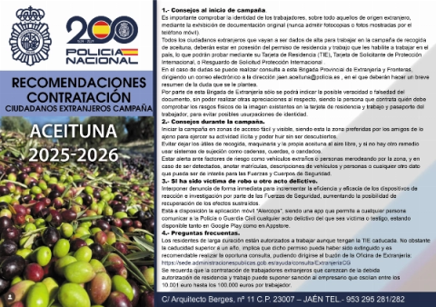 Campaña de la Aceituna 2025-2026: Recomendaciones para la Contratación de Ciudadanos Extranjeros